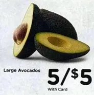 Large Avocados