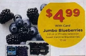 Jumbo Blueberries, Sweet Karoline Blackberries