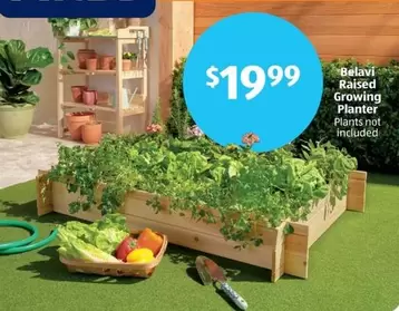 Raised Growing Planter