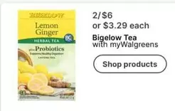 Bigelow - Lemon Ginger Herbal Tea with Probiotics