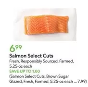 Salmon Select Cuts