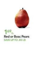 Red or Bosc Pears