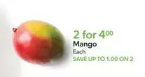 Mango