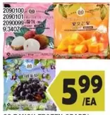 2090100 2090101 9.34OZ FROZEN FRUIT