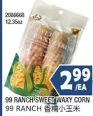 SWEET WAXY CORN 2086668