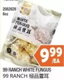2082628 WHITE FUNGUS