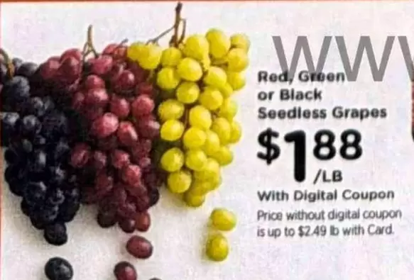 Red, Green or Black Seedless Grapes