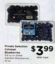 Colossal Blueberries or Sweet Karoline Blackberries