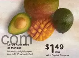 Large Avocados or Mangos