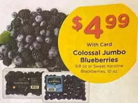 Colossal Jumbo Blueberries or Sweet Karoline Blackberries