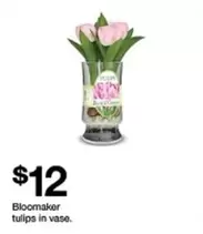 Bloom maker tulips in vase
