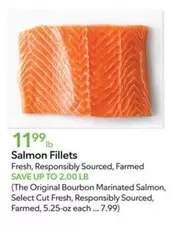 Salmon Fillets