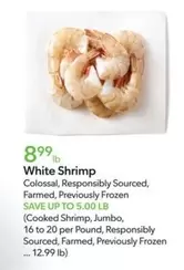 Frozen - White Shrimp