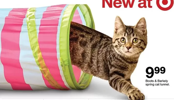 Boots & Barkely spring cat tunnel