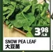 SNOW PEA LEAF