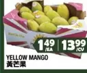 YELLOW MANGO