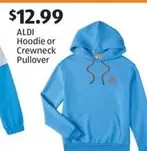 Hoodie or Crewneck Pullover