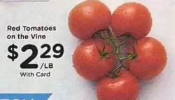 Red Tomatoes on the Vine