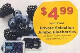 Jumbo Blueberries