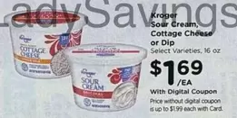 Sour Cream, Cottage Cheese or Dip