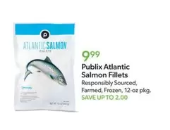 Frozen - Atlantic Salmon Fillets