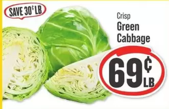 Crisp Green Cabbage