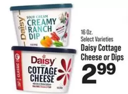 Daisy - Cottage Cheese or Dips