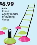 Agility Ladder or Training Cones