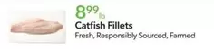 Catfish Fillets