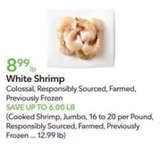 Frozen - White Shrimp