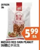 RED SKIN PEANUT 2078238