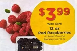 Red Raspberries or Sweet Karoline Blackberries
