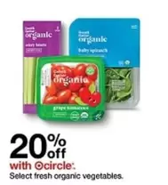 Select fresh organic vegetables