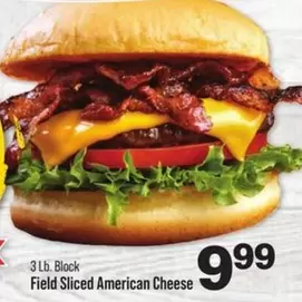 Field Sliced American Cheese