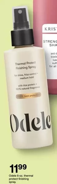 all - Thermal Protect Finishing Spray