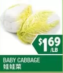 BABY CABBAGE