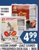 OCEAN CHAMP - (SALT COOKED / PRESERVED) DUCK EGG 1610063 1610064 6pc