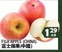 Apple - FUJI APPLE