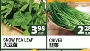 SNOW PEA LEAF
