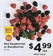 Red Raspberries or Blackberries