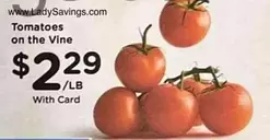 Tomatoes on the Vine