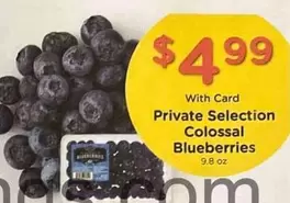 Colossal Blueberries