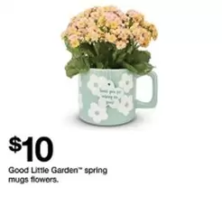 Good Little Garden spring mugs flowers
