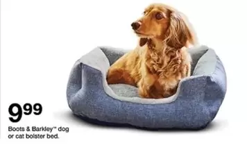 Dog Or Cat Bolster Bed