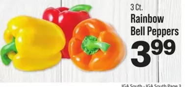 Rainbow Bell Peppers