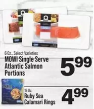 Atlantic Salmon Portions