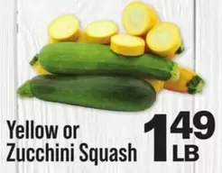 Yellow or Zucchini Squash