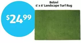 4' x 6' Landscape Turf Rug