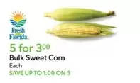 Bulk Sweet Corn