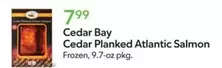Frozen - Cedar Planked Atlantic Salmon